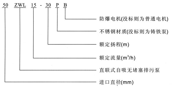 ZWL直聯式自吸好色先生APP下载安装型號意義